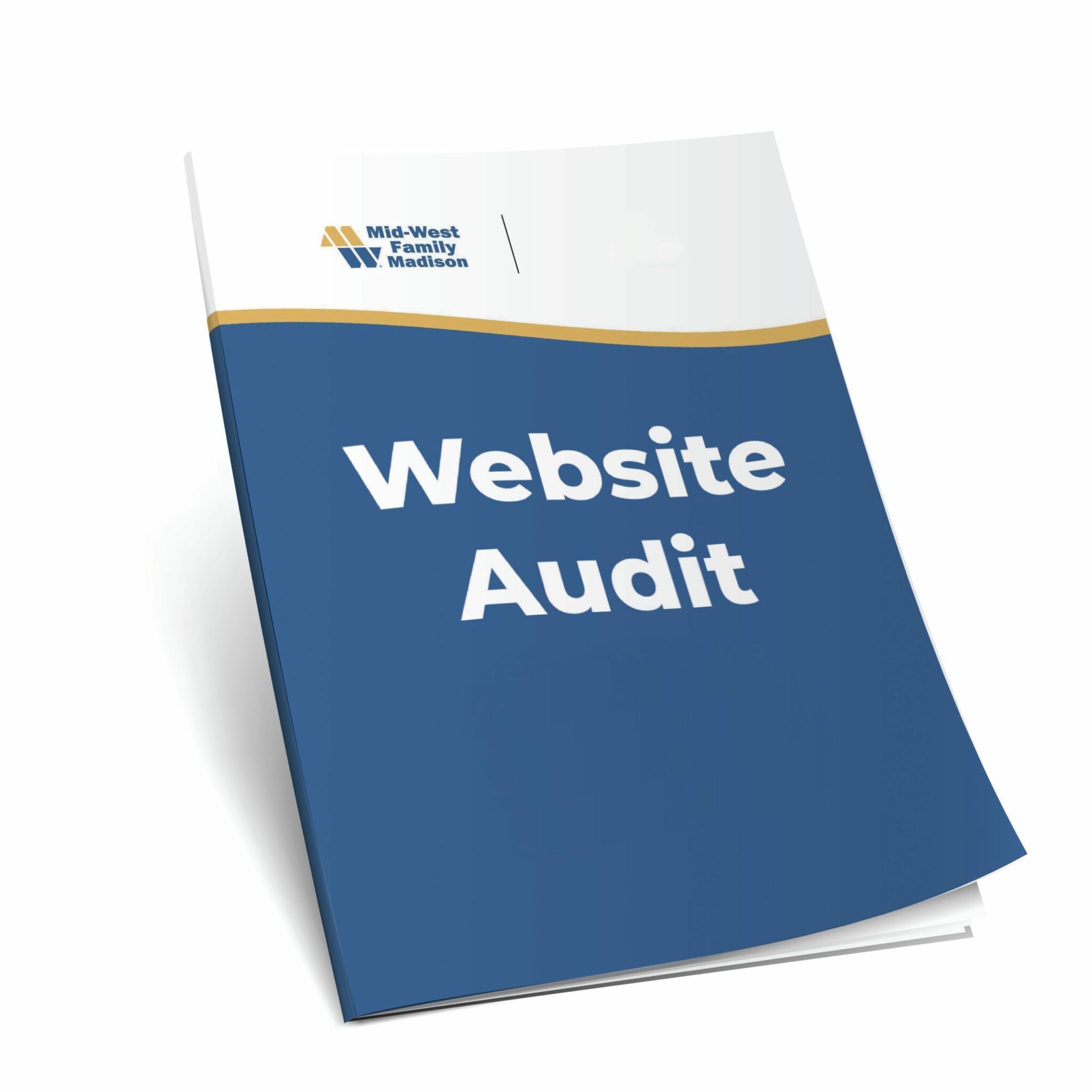 Let's Start with a Web Audit